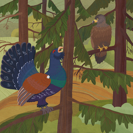 иллюстрация к книге "Умная сова" (мансийские сказки)