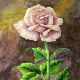 Роза акварель