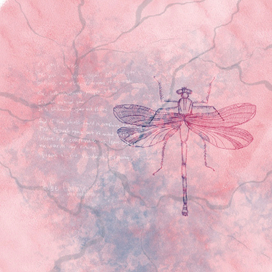 Иллюстрация "dragonfly"