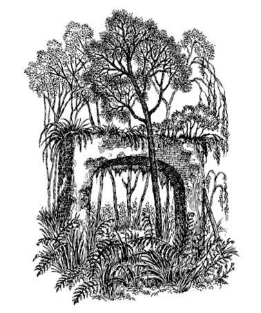 А. ФЕТ. стихотворения.