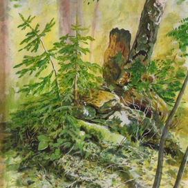 Сахалинский лес