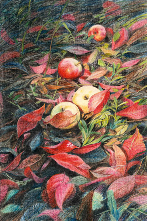 Аромат осеннего солнца