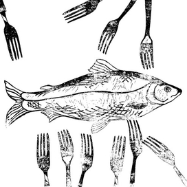 Последний омуль