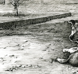 "Жулькин выбор"