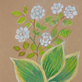 Розы и хоста