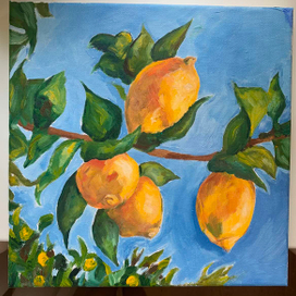 Спелые лимоны 