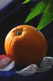 без названия