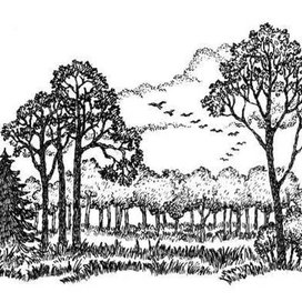 А. ФЕТ. стихотворения.