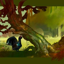 Токование глухаря