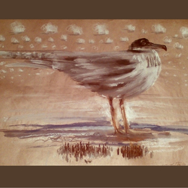 Отлёт грузо-почтовой дуры с перьями 1026 любви