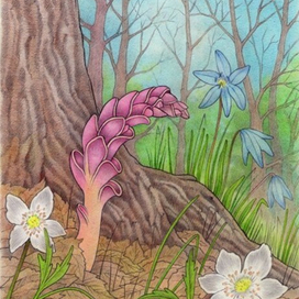 Петров крест