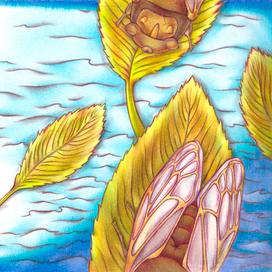 Иллюстрации к сборнику Басё "избранные хокку"