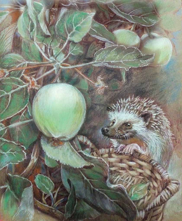 Ёжик) и яблочки