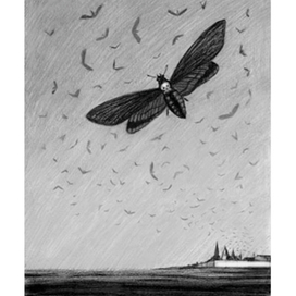 Иллюстрация к историческому роману Андрея Семина "Амадо"