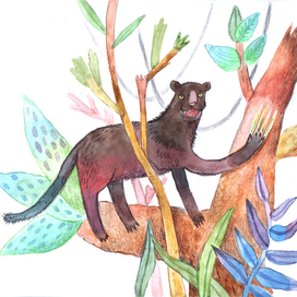 Дерзкий пантер