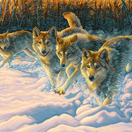 Зимний пейзаж с волками