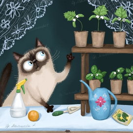 Котик и рассада