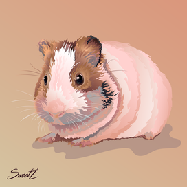 Guinea pig