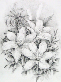 Стеклянные лилии