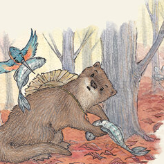 Медведи не делятся