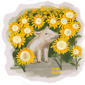 Свинка в подсолнухах