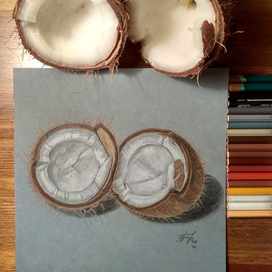 Coconut 
