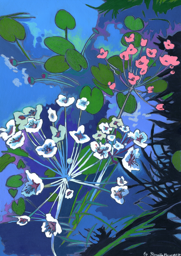 Дачный прудик.