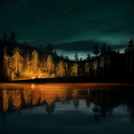 Костер в лесу