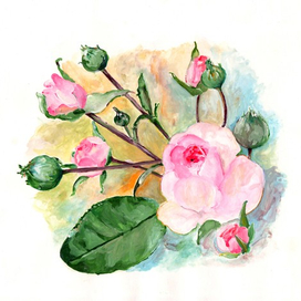 Нежные розовые розы