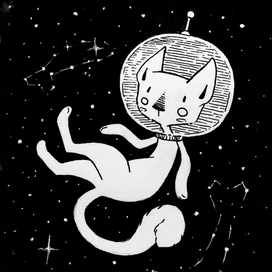 Кот в космосе