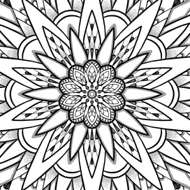 Раскраски-рисовашки