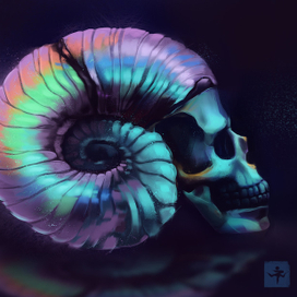 Skull Color study