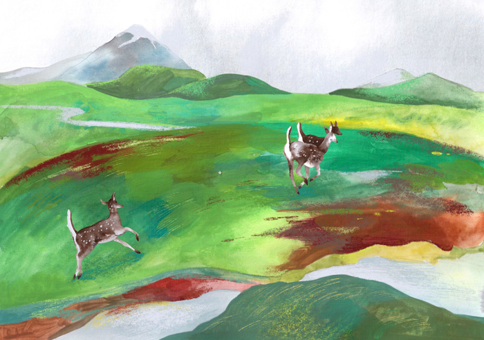 к Пришвину "Зверь бурундук"