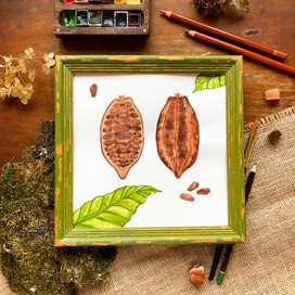 Плоды какао