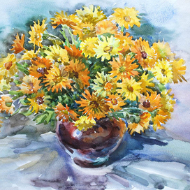 солнечная календула