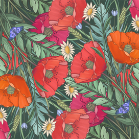 Маки. Иллюстрация. Цифровая живопись