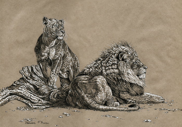 Лев и львица.