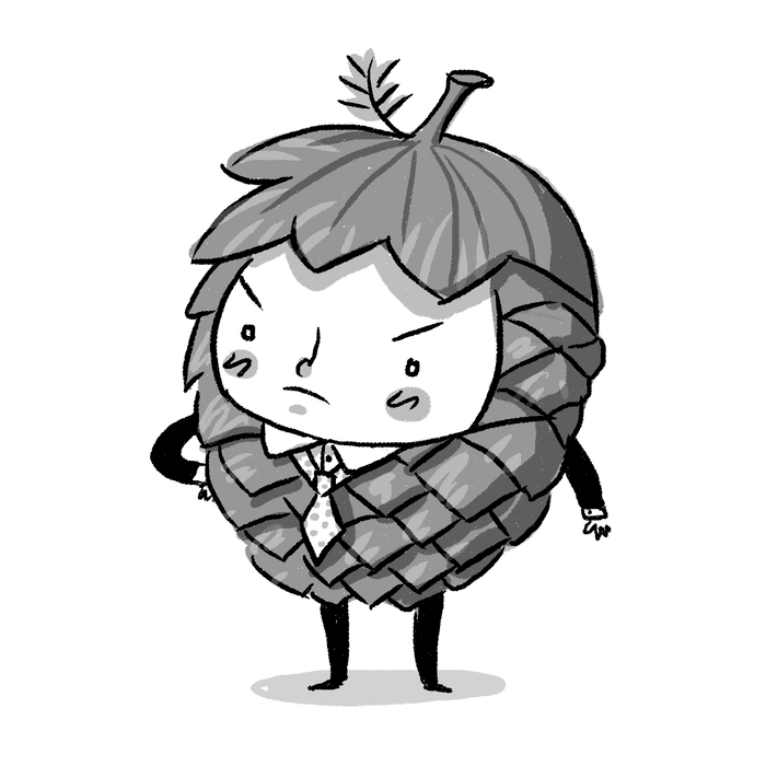 большая шишка