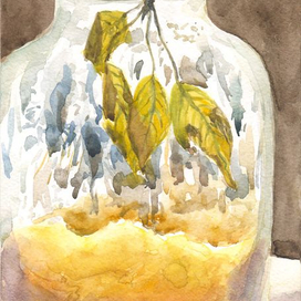 Банка с мёдом