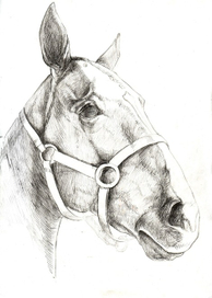 Графический портрет «Рыжый»