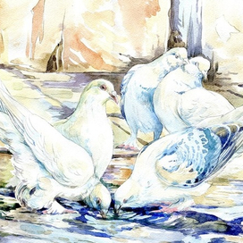 После дождя