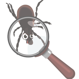 Клещ. Иллюстрация для журнала "Домовенок Троша"