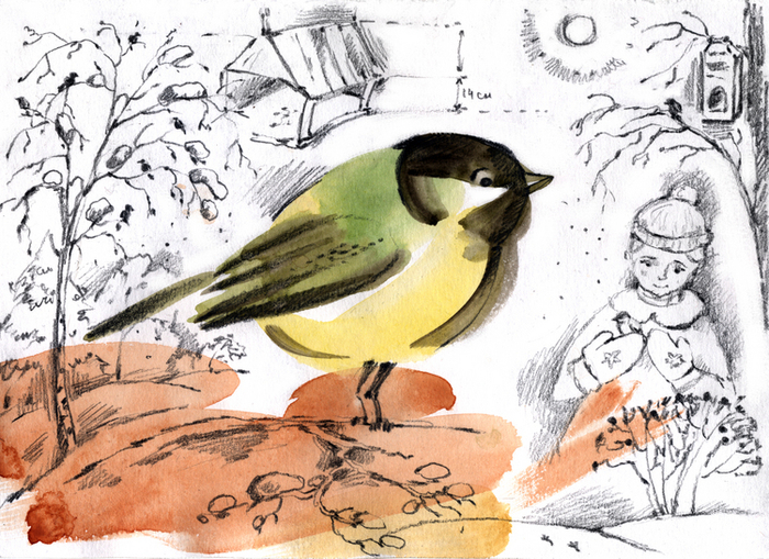 Покормите птиц зимой