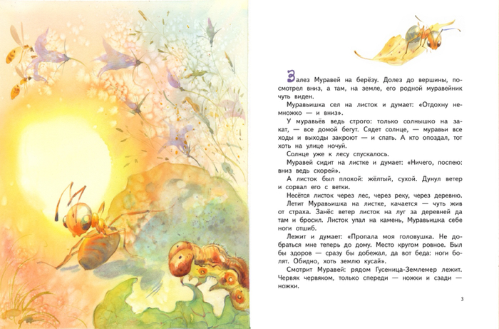 Муравьишка отшиб ножки