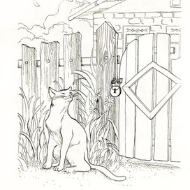 книжка-раскраска