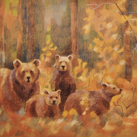 Четыре медведя