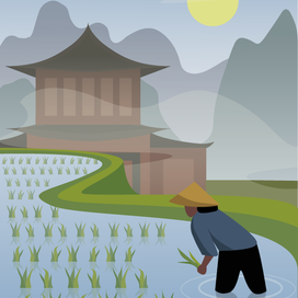 Рисовые поля