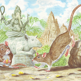 Дорогие мои пасюки, мы ещё, мы ещё погарцуем...