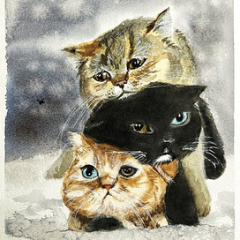 Стопка котов