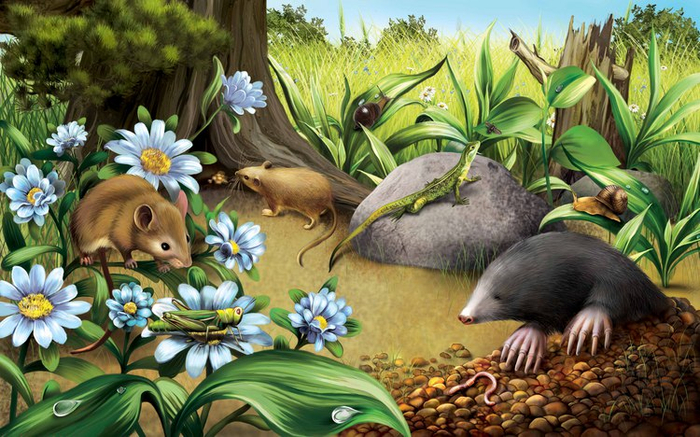 Среди густой травы